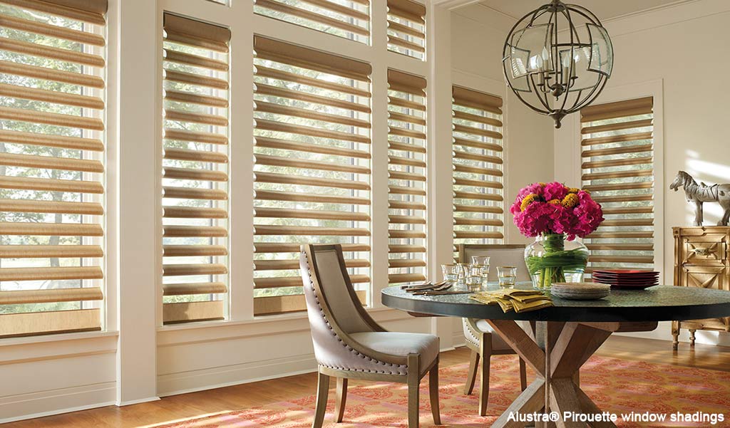 Hunter Douglas Shades